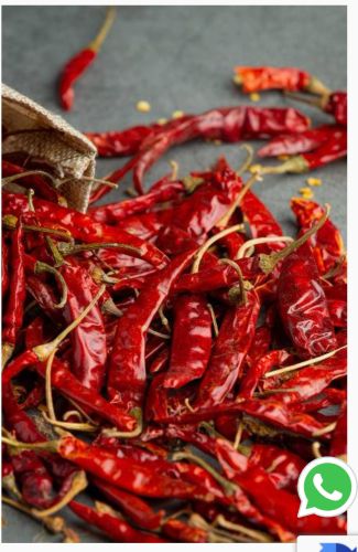 Natural Guntur Red Chilli for Cooking, Sauce