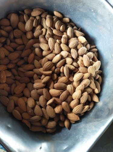 Hard Almond for Human Consumption