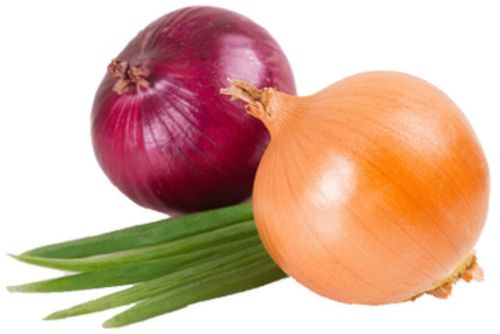 Egyptian Onion, Packaging Size : 5Kg, 10Kg, 25Kg