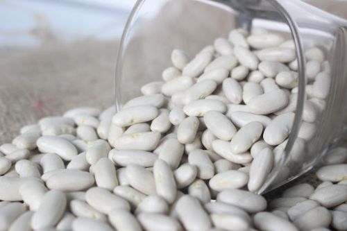 Organic Egyptian White Kidney Beans (Phaseolus Vulgaris)