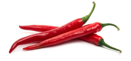 Fresh Red Chilli, Packaging Type : Loose Or In A Mesh Bag