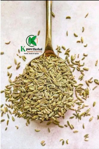 Green Organic Cumin Seeds Food Grade for Cooking, Spices