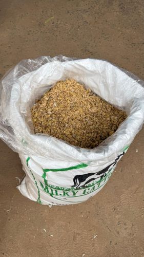 Corn (maize) Milky Mixed Feed