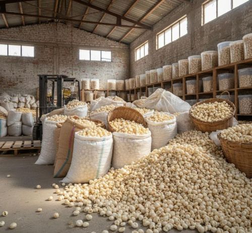 Raw Phool Makhana for Human Consumption, Shelf Life : 6-12 Months