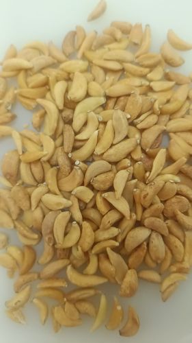 Natural Dehydrated Garlic Flake, Color : Brown, Creamy