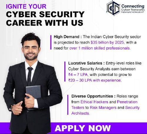 Cyber Security Professional Course