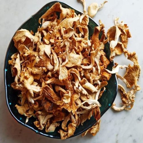 Brown Natural Dry Oyster Mushroom