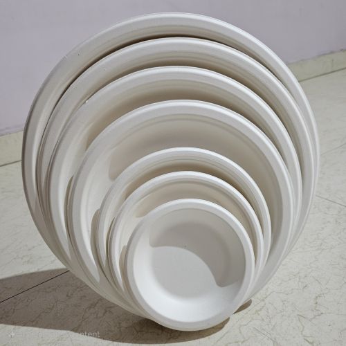 Sugarcane Bagasse Plain Round Plate 5 - 12 Inch