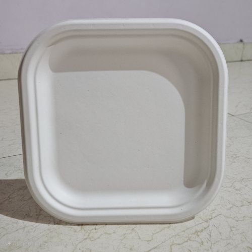Sugarcane Bagasse Square Plates, Color : White 7 Inch & 1D Tray