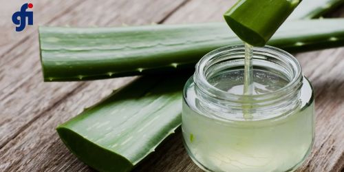 Semi Automatic Electric Aloe Vera Processing Machine, Power : 9-12kw