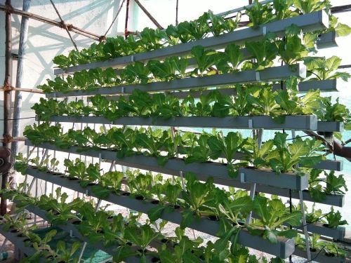 UPVC Automatic Hydroponics Systems