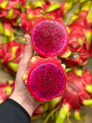 Red Organic Dragon Fruit