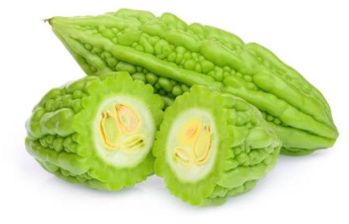 Fresh Bitter Gourd Melon for Edible