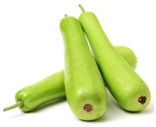 Fresh Bottle Gourd, Packaging Type : Usually Unpackaged