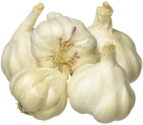 Fresh Garlic, Packaging Type : 5kg, 10kg, 20kg, 30kg, 40kg