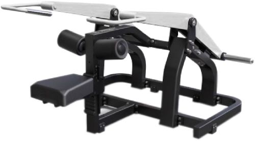 Triceps Dips Machine