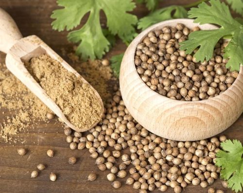 Coriander Seeds, Grade Standard : Elb, LB, Sb