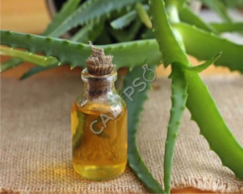 Aloe Vera Oil, Form : Liquid