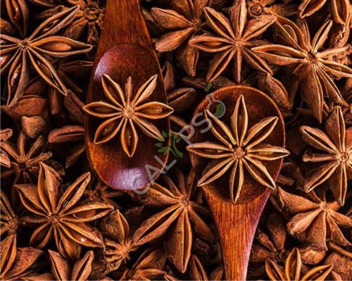 Anise Oil for Aromatherapy