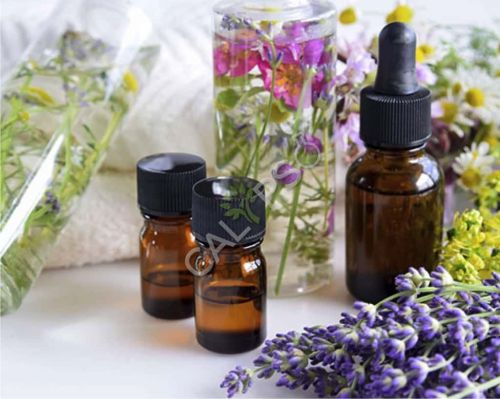 Aniseed Oil, Packaging Type : Bottle