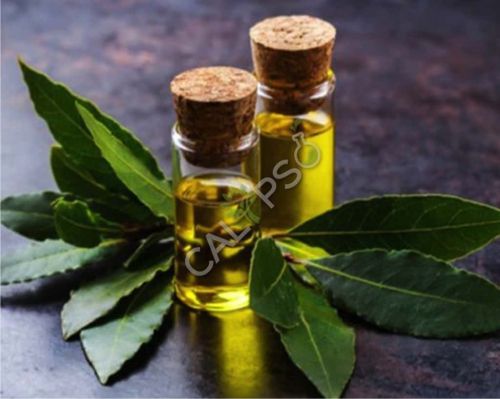 Bay Leaf Oil, Form : Liquid