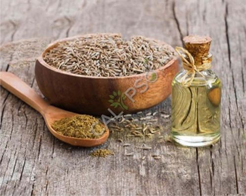Caraway Oil for Aromatherapy