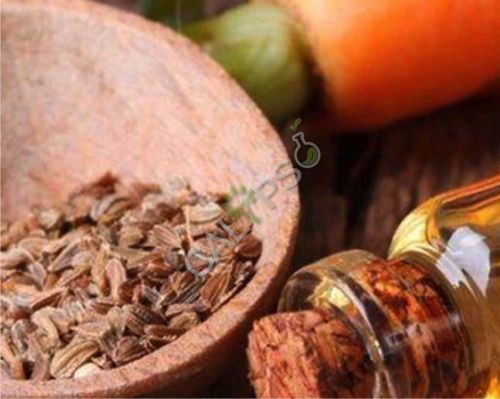 Carrot Seed Oil for Aromatherapy