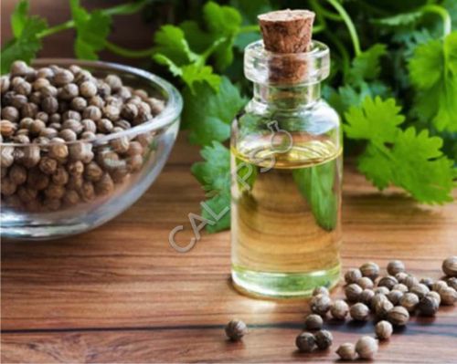Coriander Oil