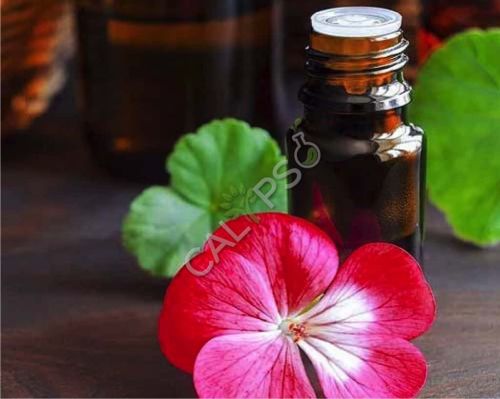Geranium Leaf Absolute Oil for Aromatherapy