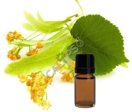 Linden Blossom Absolute Oil