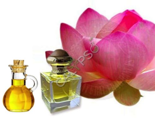 Lotus Pink Absolute Oil for Aromatherapy