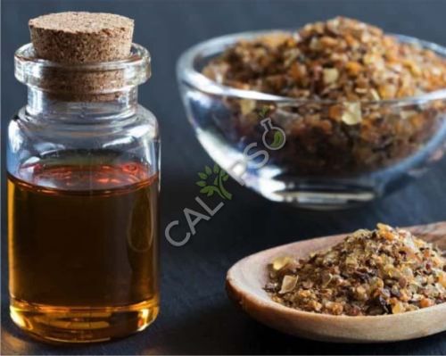 Oregano Oil for Aromatherapy