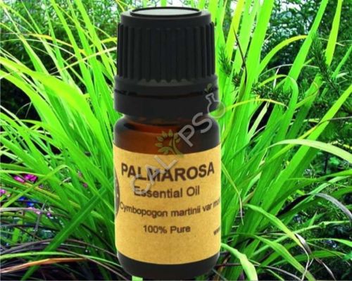 Palmarosa Oil, Packaging Type : Glass Bottels for Aromatherapy