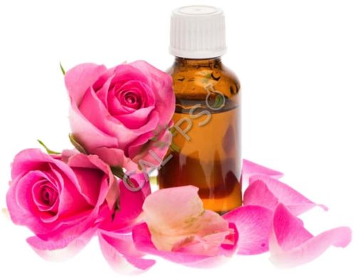 Rose Absolute Oil, Packaging Type : Bottle