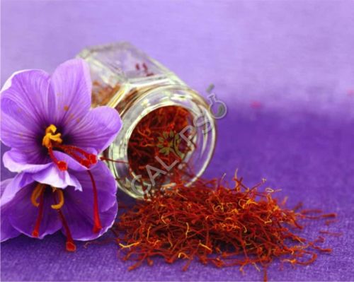 Saffron Zafran Kesar Absolute Oil for Aromatherapy