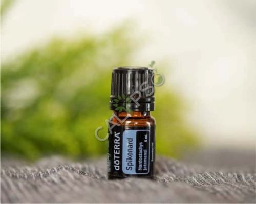 Spikenard Oil, Form : Liquid