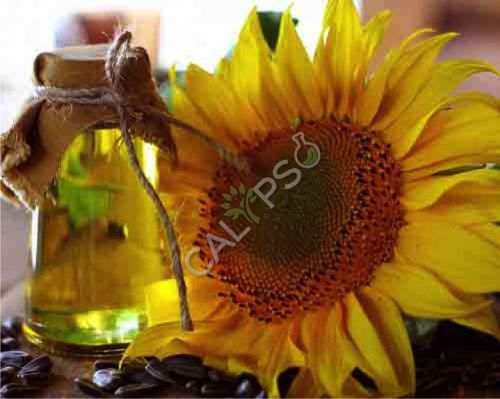 Sunflower Oil, Packaging Type : Glass Bottle