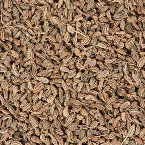 Celery Essential Oil for Aromatherapy, Flavoring, Fragrance