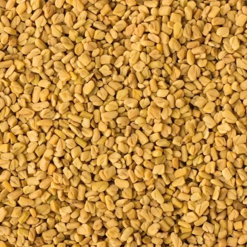Fenugreek Seed, Packaging Size : 100g, 250g, 500g
