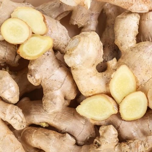 Fresh Ginger, Packaging Size : 1Kg, 5Kg Net Bag