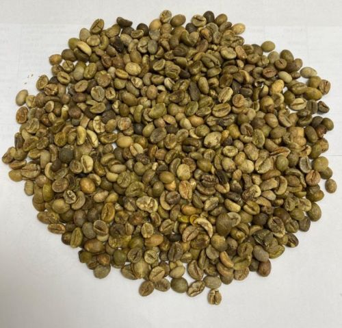 Robusta Coffee Bean S18 Unwashed, Moisture : 12.5% Max