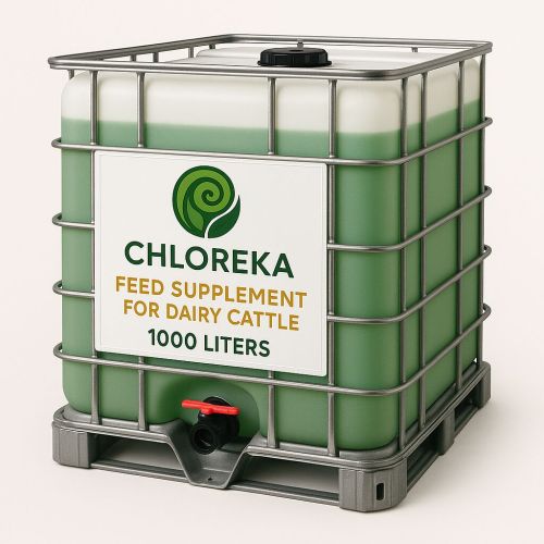 1000L Chloreka Dairy Cattle Feed Supplement, Animal Type : Cow