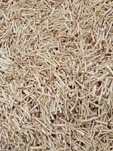 Dry White Shatavari Root, Grade : Medicinal