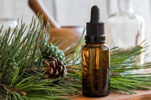 Pure and Natural Pine Essential Oil, Color : Pale Yellow colour