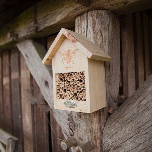 Bee Hut for Beekeeping