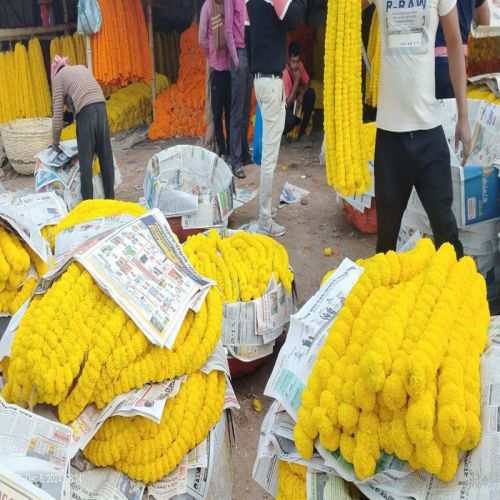 Fresh Flower Arrangements Standard Bouquet Size