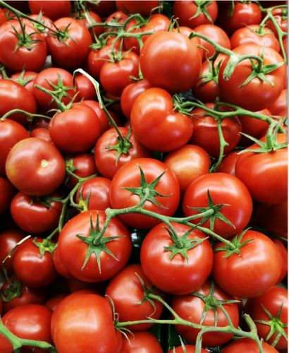 Red fresh tomato, Cultivation Type : Natural for Cooking, Food