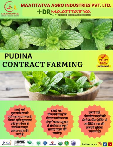 Pudhina Contract Farming