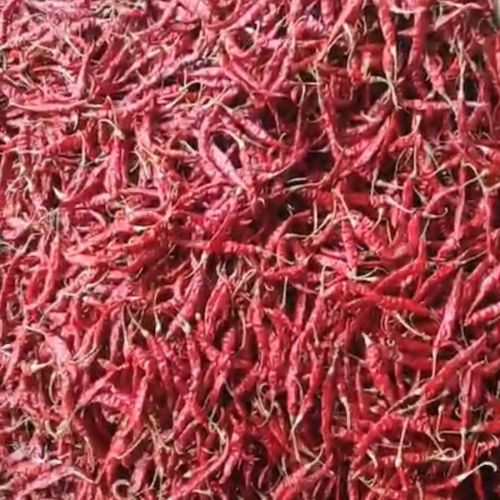 Organic Dried Red Chilli Food Grade for Cooking