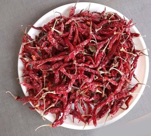 Syngenta Dry Byadgi Red Chilli, Packaging Size : 25-50kg Food Grade